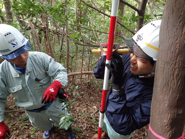 PA150142.JPG