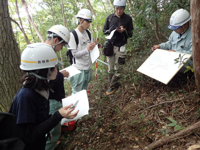 PA150155.JPG