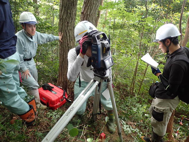 PA150151.JPG